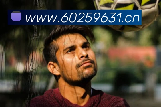 米兰网页版登录入口平台生态图